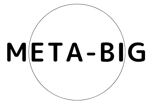 META-BIG